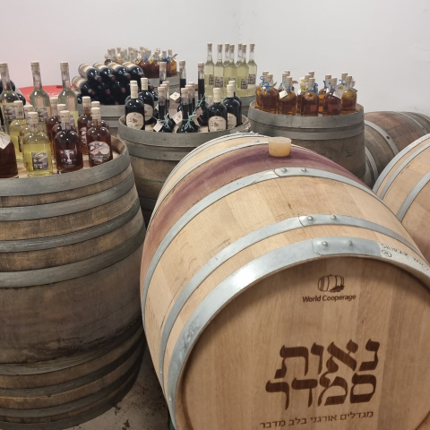עותק של 20240804_211722.jpg
