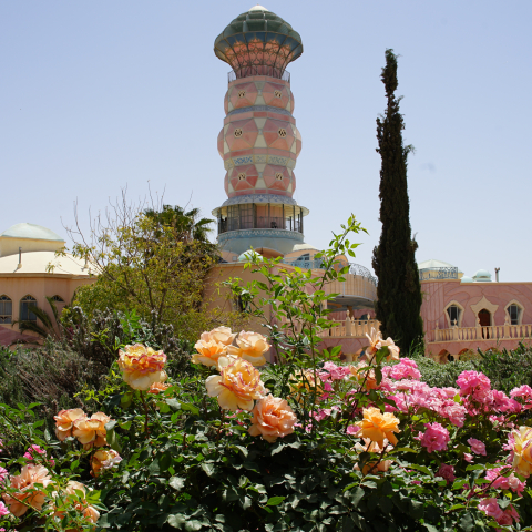 עותק של DSC09241.JPG