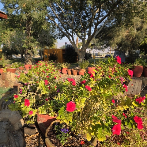 קיבוץ אליפז – חופש וחוויה בערבה